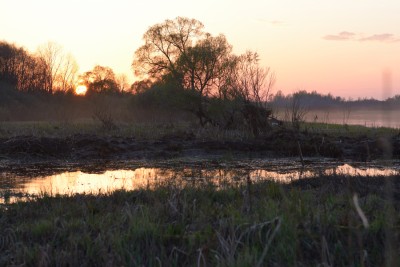 DSC_0897.JPG