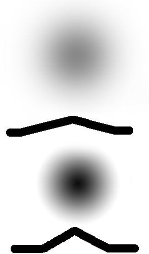 ris.jpg