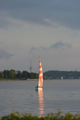 2013-05-27_039_c_kl.jpg
