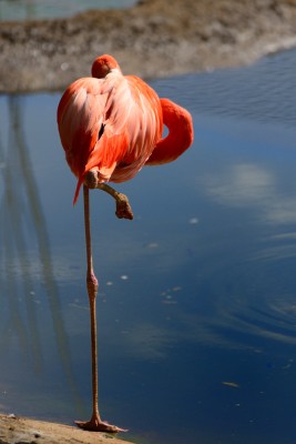 FSC_1410.jpg