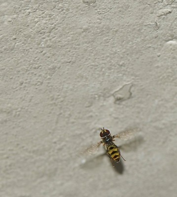 DSC_2925_cn.jpg