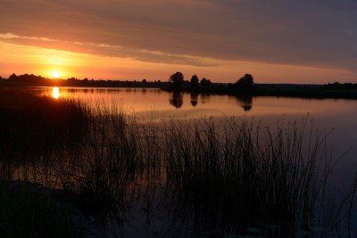 DSC_1859.JPG