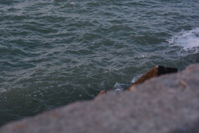 DSC_4505sm.jpg