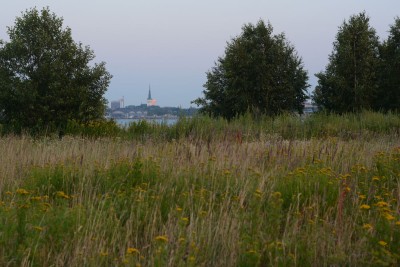 DSC_4530sm.jpg