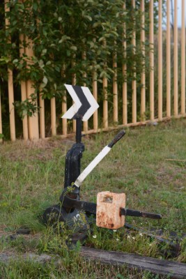 DSC_4533sm.jpg