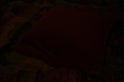 DSC_0003.JPG