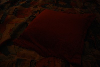 DSC_0004.JPG