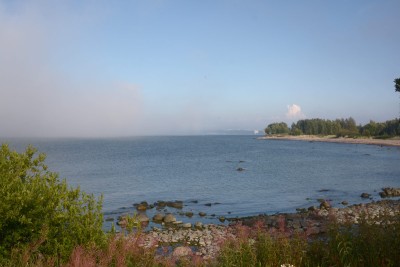 DSC_4678sm.jpg