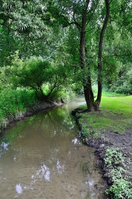 SVF_0870.jpg