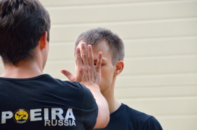 SVF_1204.jpg