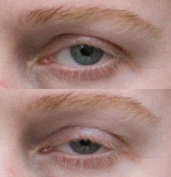 _DSC5149_eye.jpg