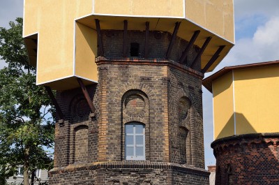 SVF_9425.jpg