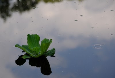 DSC_0282.jpg