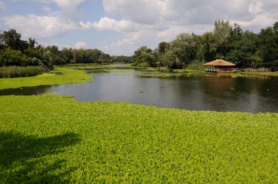 DSC_0309.jpg