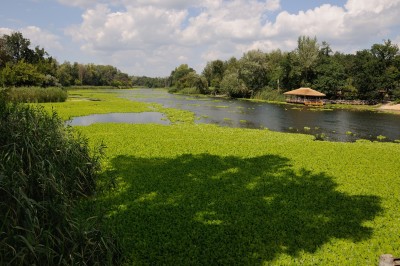 DSC_0296.jpg