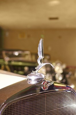  Untitled Job 260 1.jpg