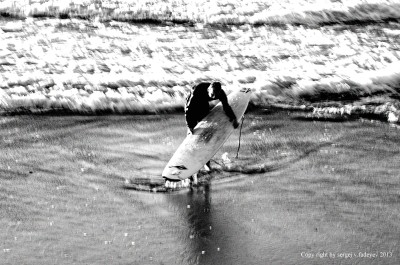 SVF_8915_developed.jpg
