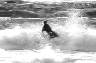 SVF_8968_developed.jpg