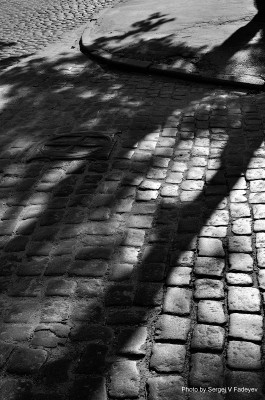 SVF_8027_bw.jpg