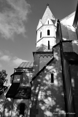 SVF_8155_bw.jpg