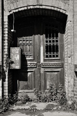 SVF_5688_bw.jpg