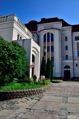 SVF_5732.jpg