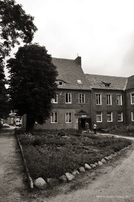 SVF_6010_bw.jpg