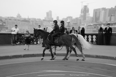 SVF_9109_bw.jpg