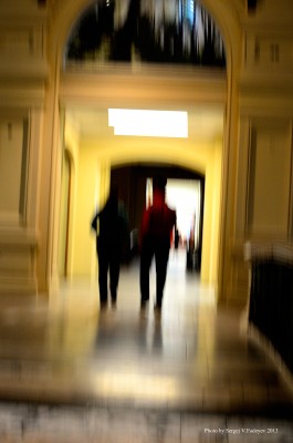 _SVF3045_110_2013Y0822.jpg
