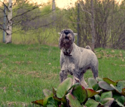 DSC_0986.jpg