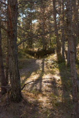 _DSC5790sm.jpg