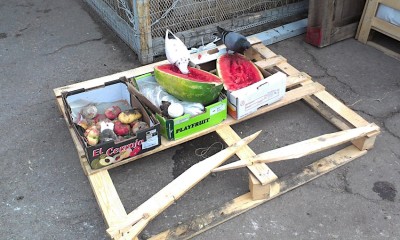 IMAG0459.jpg