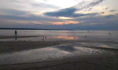 IMAG0483.jpg