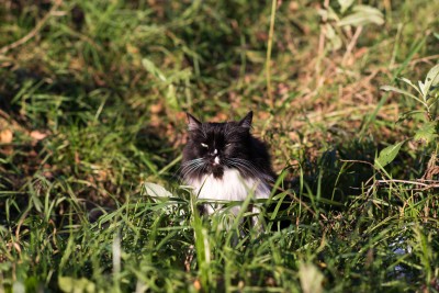 DSC_8124-2.jpg