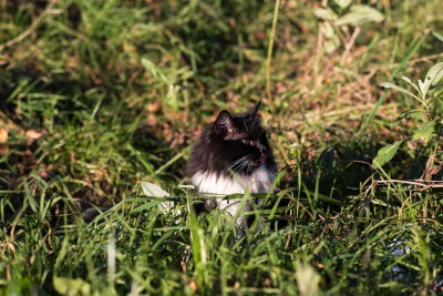 DSC_8126-2.jpg