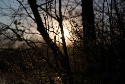 DSC_8252-2.jpg