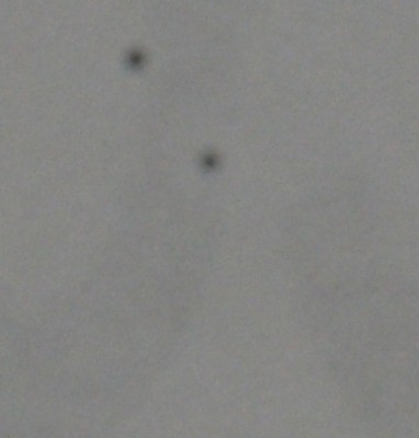 D800пятна.jpg