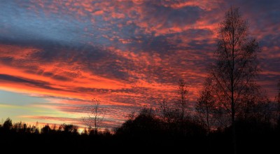 DSC_4291.jpg