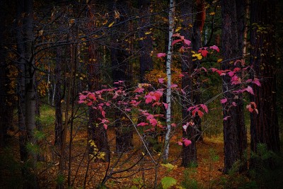 DSC_1902_HDR.jpg