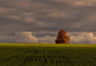 _DSC0926Акопия1.jpg