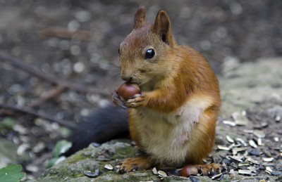 DSC_6214.JPG