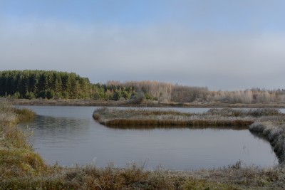 DSC_4408_1.jpg