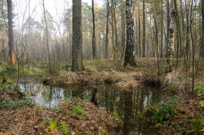 DSC_9175.jpg