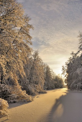 _DSC2999Акопия.jpg