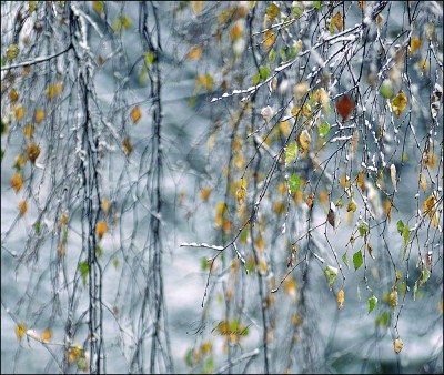 _DSC0899а.jpg