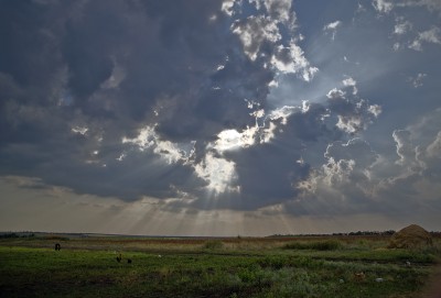 DSC_7390.JPG