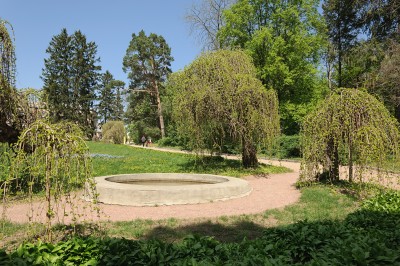 DSC_0230.jpg