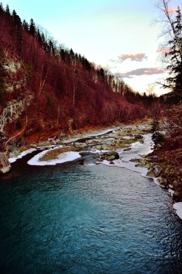 DSC_4942_3.jpg