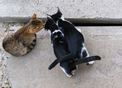 DSC_0947.jpg