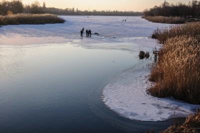 DSC_0196.jpg 1600.jpg